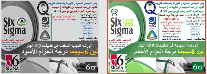 العشرة العادات لرواد 6 سيجما تقدير قيمة الزبون ( إلا صغاء التواصل العالقة المتبادلة( التركيز على التنفيذ )التركيز على النتائج إدراك الموارد التوجه حسب