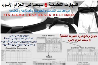 التحسينات النوعية )النوعية التأثير العمل بجودة( دعم الفرق التنفيذية )إدارة فرق العمل الجوائز ومكافأة الفرق( تقليص العوائق والتكامل بالوظيفية والمشتركة بين