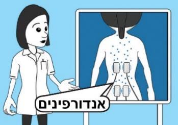 כיצד פועל טנס,(Transcutaneous Electrical Nerve Stimulation) TENS או בעברית "גירוי עצבי באמצעות חשמל דרך העור", הנה שיטה לגירוי ההגנה הטבעית של הגוף