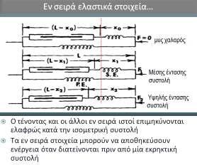 εικ. 8.