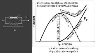 παραγόμενη δύναμη. εικ. 9.
