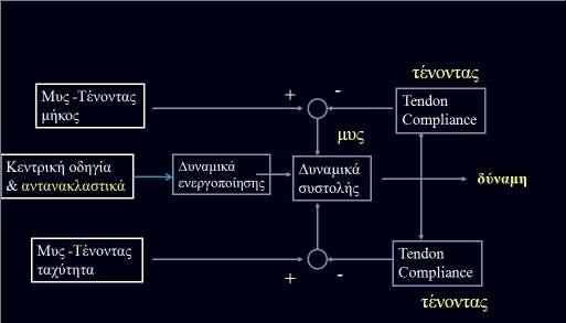 Ένα άλλο καθοριστικό φαινόμενο, είναι αυτό της Αμοιβαίας Αναστολής.