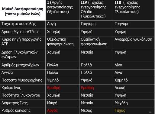 εικ. 5.