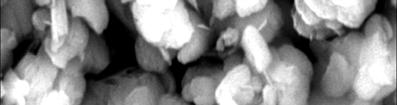 distribution/% 0 5 µm 5 10 µm 10 20 µm 20 µm