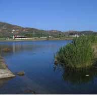 Νησίδα