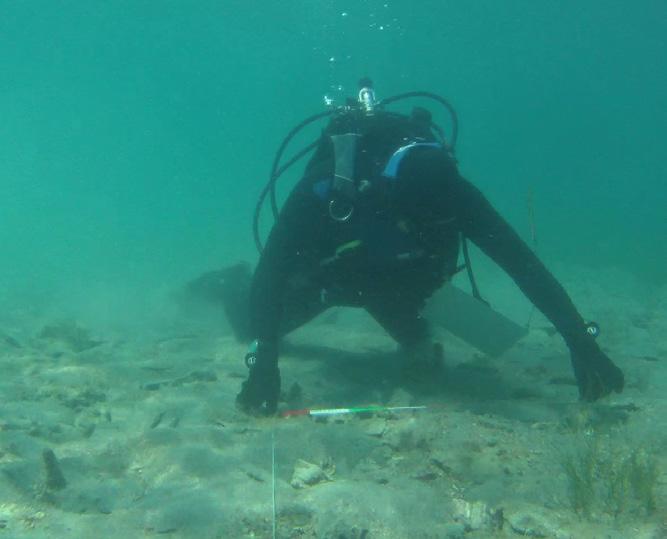 3 επιστημονικά πεδία. Το Εργαστήριο χρησιμοποιείται από όλα τα μέλη ΔΕΠ του ΤΓΙΥΠ και ικανοποιεί διαδραστικά τις ερευνητικές ανάγκες συνεργατικά σε ένα πλήθος υποθέσεων.
