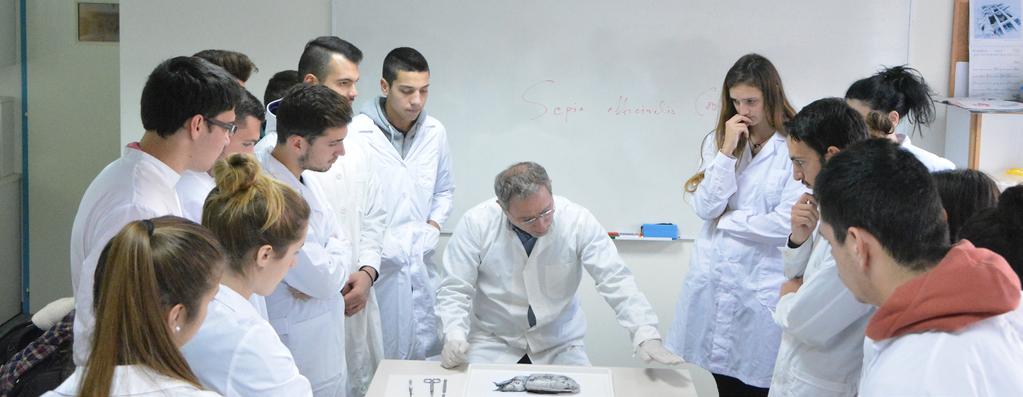 4 Κατά τη διάρκεια των δέκα (10) εξαμηνιαίων σπουδών διδάσκονται αντικείμενα επιστημών γεωπονικού, βιολογικού, τεχνικού, οικονομικού και κοινωνικού περιεχομένου, έτσι ώστε ο φοιτητής να εξειδικεύεται