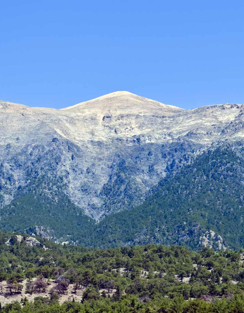 15 ΤΟ ΠΛΕΟΝΕΚΤΗΜΑ Η Γη μας: Τα Λευκά Όρη της Κρήτης Τα Λευκά Όρη περιλαμβάνουν ψηλές κορυφές, φαράγγια και αμέτρητες σπηλιές. Έχουν μήκος 50 χλμ. και εύρος 40 χλμ.