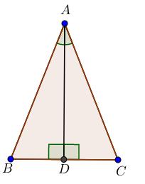 12. Στο ισοσκελές τρίγωνο το ύψος, η διχοτόμος και η διάμεσος που φέρουμε στη βάση του τριγώνου συμπίπτουν. Τετράπλευρα Στην ευκλείδεια γεωμετρία υπάρχουν διαφορετικά τετράπλευρα. Α.