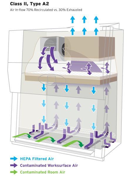 Class IΙ θάλαμος βιολογικής ασφάλειας BioSafety Cabinet Class IΙ Προστασία προσωπικού, περιβάλλοντος και κλινικού δείγματος Αέρας από το δωμάτιο που ευρίσκεται ο χειριστής