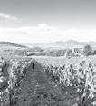BB1- STRANA - 15 tip na výlet Úžasný Tokaj navštíviť, vidieť a... Vinohradnícka oblasť Tokaj je predovšetkým miestom zrodu kráľovského moku, ale skrýva v sebe veľa nepoznaného.