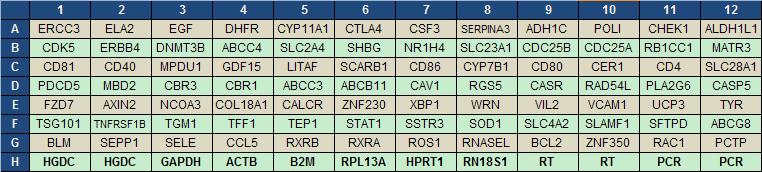 targeted gene. 2. The positive PCR controls (PCR) have been verified to amplify a single amplicon of the correct size with Ct values around 20±2. 3.