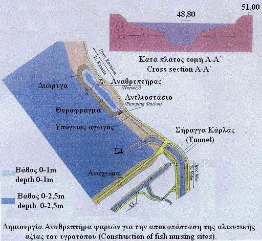 110 Σχήμα 4.1: Αναθρεπτήρας ψαριών (Ζαλίδης και συν. 1999). Επεξεργασία Παπανίκος (2008) 4.2.2Ορνιθοπανίδα Εικόνα 4.