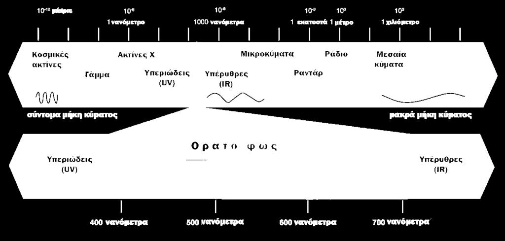 Ο Αμφιβληστροειδής Χιτώνας: όπου συγκεντρώνεται όλο το φως και μεταδίδονται όλες οι πληροφορίες στον εγκέφαλο μέσω του οπτικού νεύρου για να δημιουργηθεί η όραση.