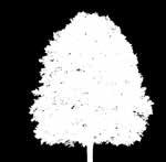 Výnimočný ekologický profil vrátane kompenzácie za uhlíkovú stopu CO 2 Neutral Balík 500 hárkov; 5 balíkov