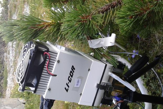 Fyziologické merania sme vykonali prostredníctvom Li- 6400XT prenosného fotosyntetického systému (LI-COR Inc.