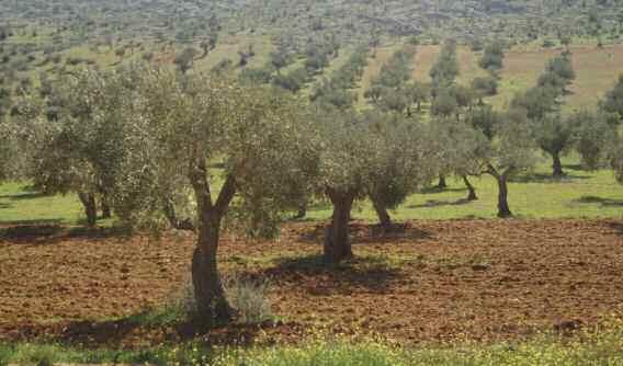 7. Προστασία του Περιβάλλοντος Επιχειρούμε υπεύθυνα, ακολουθώντας μία ολοκληρωμένη προληπτική προσέγγιση για την αντιμετώπιση των περιβαλλοντικών προκλήσεων, ενσωματώνοντας και εφαρμόζοντας τις αρχές