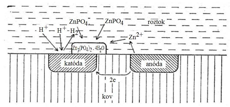 Obr. 12.10.3 Schéma vzniku kryštalického fosfátového zárodku na mikrokatóde lokálneho článku [232] Urýchľovače podporujú úvodnú koróznu reakciu, ktorou sa začína fosfátovací proces.