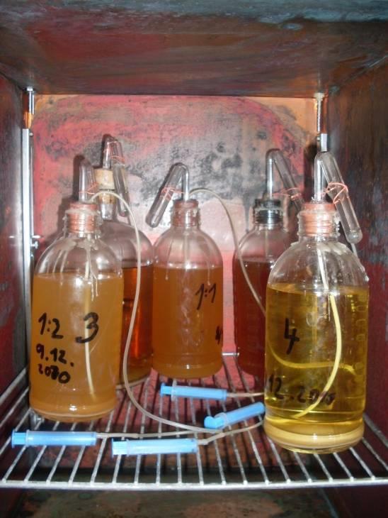 Pripravili sme roztoky s uvedenými hmotnostnými pomermi medu a vody: - 1:0,5-1:1-1:2-1:3 Pripravili sme aj medovinu s výťažkom z bylín.
