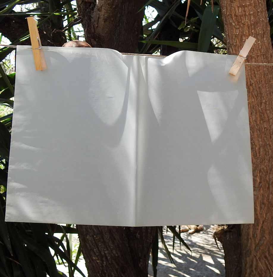 Ονομασία Τμήματος Τμήμα Εκπαίδευσης και Αγωγής στην Προσχολική Ηλικία (ΤΕΑΠΗ), ΦΕΚ 221/29-10-1997 οδηγός σπουδών 2018-2019 φυσιογνωμία τμήματος Ίδρυση Η εκπαίδευση των νηπιαγωγών και των δασκάλων