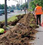 Aprila 2012 je bil obnovljen celoten drevored in urejen pločnik s ponižanji in spuščenimi robniki za lažji dostop invalidov na ulici Pod akacijami, odstranjenih 33 starih robinij in posajenih 50