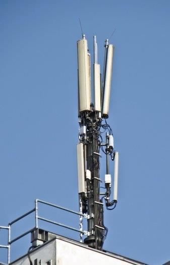 30 cm