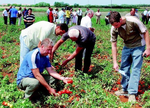 Grad Umag i dalje Êe osiguravati poticaje za ovu vrstu poljoprivredne proizvodnje i, kako je naglasila gradonaëelnica Florijana Bassaneze Radin, iskazuje veliki interes za zadræavanje Podravkine