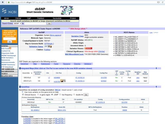 38. Επιλέξτε το rs3092988 39. Μεταφέρεστε στη σελίδα dbsnp (βάση δεδομένων του NCBI) (Εικόνα 6). Εικόνα 6. dbsnp rs3092988 40.