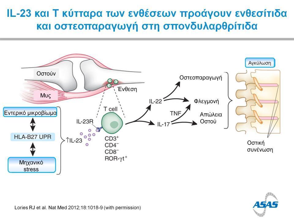 Νέες θεραπείες με βάση τον μηχανισμό?