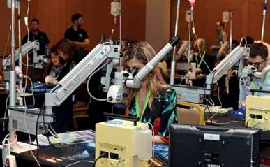 στα πειραματικά χειρουργεία που πραγματοποιήθηκαν όλες