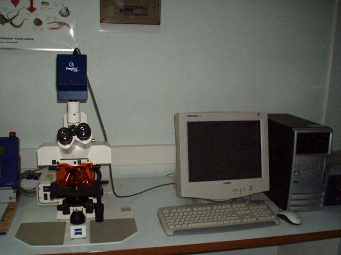 2. Υλικά και Μέθοδοι 30 2.4.2 Παρατήρηση και Καταγραφή Η παρατήρηση των τομών της γονάδας έγινε σε μικροσκόπιο με ενσωματωμένη ψηφιακή φωτογραφική μηχανή (ProgRes C10 Plus 2.
