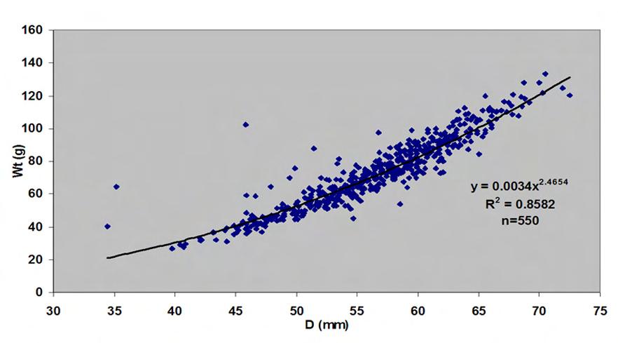 3. Αποτελέσματα 64 Εικόνα 3.28. Σχέση ολικού βάρους σώματος (Wt) και σωματικής διαμέτρου (D) για τον συνολικό πληθυσμό του αχινού από όλους τους σταθμούς και για τις δύο δειγματοληψίες Πίνακας 3.6. Εξισώσεις και συντελεστές συσχέτισης της σχέσης ολικού βάρους σώματος (Wt) - σωματικής διαμέτρου (D) για όλους τους σταθμούς και τις δειγματοληψίες.