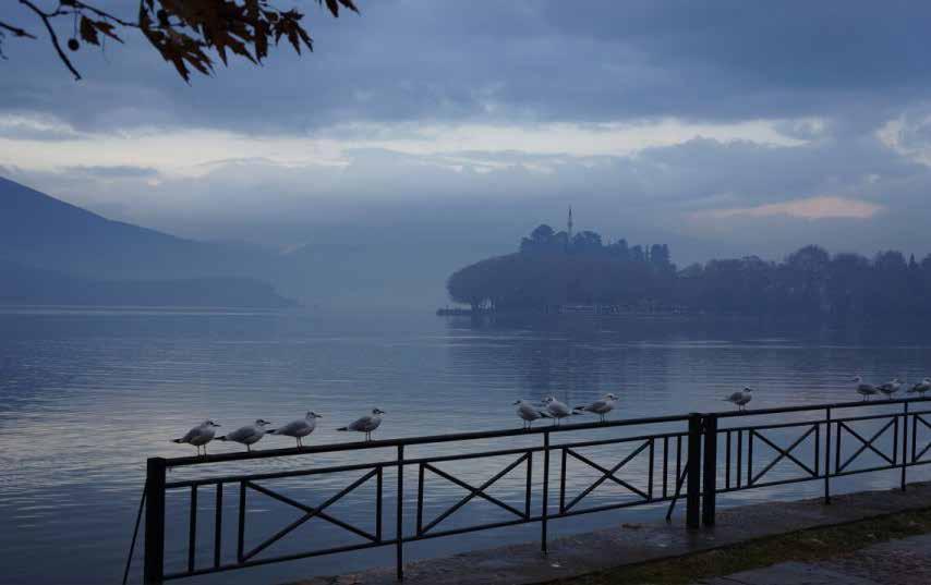 Ioannina Lake Run? Γιατί; Υψηλός επαγγελματισμός. 12 χρόνια εμπειρίας.