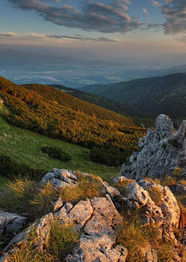 7 silných stránok kamennej vlny Odolnosť voči požiaru Odoláva teplotám až do 1000 C. Tepelné vlastnosti Zachováva optimálnu vnútornú teplotu a komfort. Akustické vlastnosti Pohlcuje alebo tlmí zvuky.