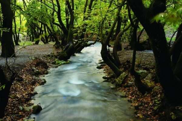 Ηπροστασίατηςάγριαςζωήςκαι τωνπεριοχών Naturaµέσααπότην