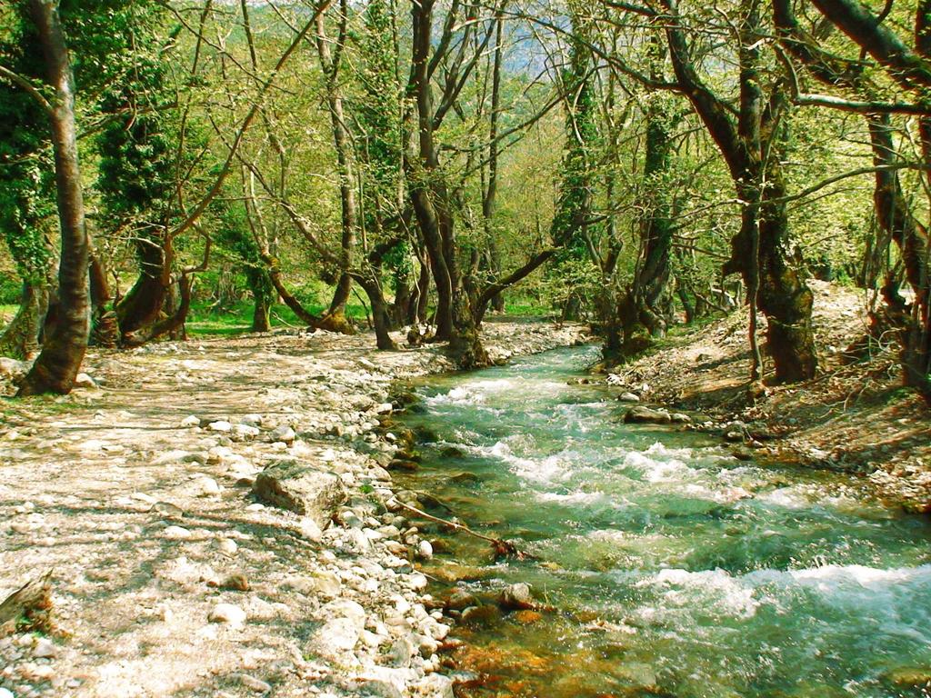 Πλανητέρο ΠηγέςΑροανίουποταµού / Ιδιωτικό άσος Η ευρύτερη έκταση, εντός της οποίας ευρίσκεται και το ιδιωτικό δάσος, έχει χαρακτηρισθεί ως Εθνικό Πάρκο