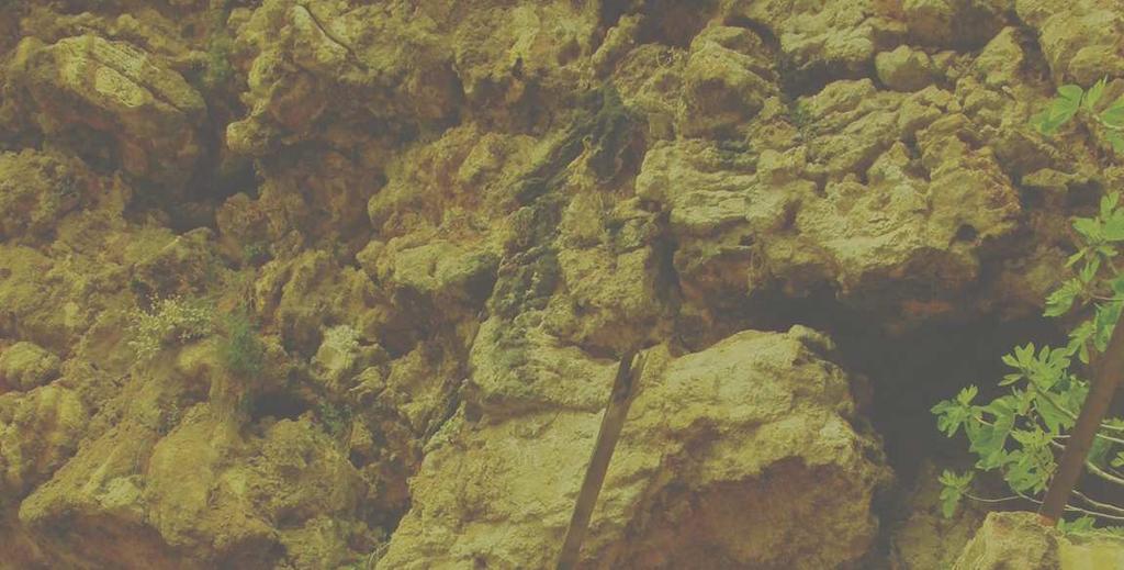 Σπήλαιο Ιαµατικών Πηγών Καϊάφα Στο σπήλαιο φιλοξενείται µεγάλος αριθµός προστατευόµενων ειδών χειροπτέρων, ενώ η ευρύτερη περιοχή εντάσσεται