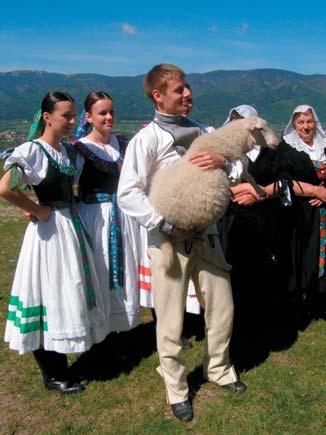 Ročná spotreba výrobkov z ovčieho mlieka predstavuje 1,6 litra na osobu a baranieho mäsa v objeme 0,08 kg na osobu.