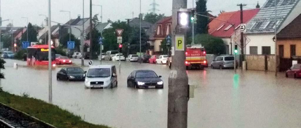 Záhrada je priestranná, a tak sa na nej našlo miesto nielen pre detské hracie prvky, ale aj pre pestovanie okrasných a úžitkových rastlín.