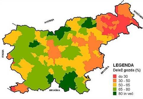 Slabosti izkoriščanja lesne biomase je visoka cena tehnologije in še vedno premajhno zavedanje pomena obnovljivih virov energije (Vir: www.aure.si ).