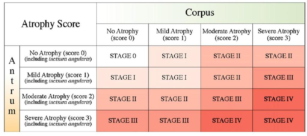 OLGA-Operative Link for Gastritis Assessment Η αναφορά των ιστολογικών ευρημάτων μιας γαστρίτιδας δεν καταδεικνύει άμεσα τoν κίνδυνο κακοήθειας.