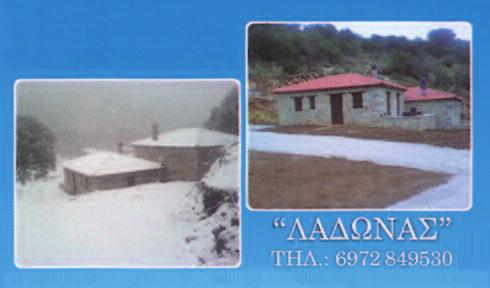 Βέβαια αυτή η ατελείωτη οικονομική κρίση σε συνδυασμό με τις απώλειες σημαντικών συγχωριανών επηρεάζουν την παρουσία κάποιων αλλά ευτυχώς είμαστε τόσοι πολλοί που καταφέρνουμε να αναπληρώνουμε τα