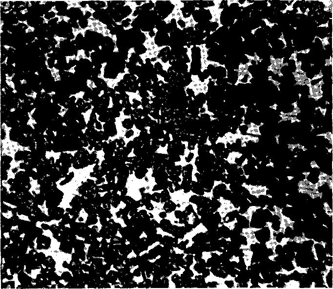 Mikroštruktúra spekaného karbidu G2, lept. Muracami, zv. 1000 x Spekané karbidy patria do skupiny spekaných mikroheterogénnych materiálov.