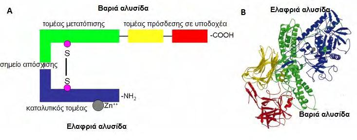 Σχήμα 7.