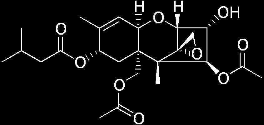 ένωση μεταβολίζεται γρήγορα σε ΗΤ-2 μυκοτοξίνη (ένας κύριος μεταβολίτης). Η τοξικότητα της Τ-2 τοξίνη οφείλεται στη δομή της και συγκεκριμένα στον 12,13-εποξυ δακτύλιο της.