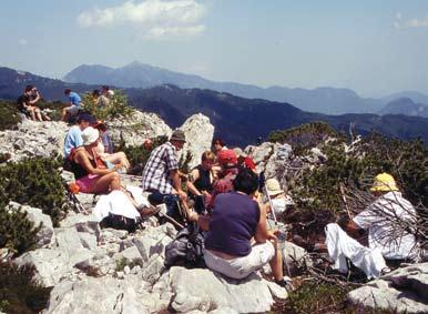 Jeleni v ogradi, spominske (zgodovinske) table o geologiji, zgodovini tega področja, ob poti pa jagode, borovnice in rožice.