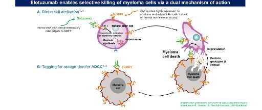 Cancer Immunol Immunother, 2017 Cornell &