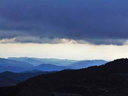 Καθηγήτρια Άρτεμις Χρυσηλίου Μάρκου Μάρκος, Α7