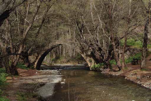 2ο ΒΡABEIO Γυμνάσιο Αποστόλου Ανδρέα Έμπας,