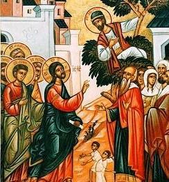 ΣΥΝΑΝΤΗΣΗ 14 Ο Ζακχαίος και η σωτηρία του Κάποια μέρα, ο Χριστός έμπαινε περπατώντας στην Iεριχώ και περνούσε μέσα απ αυτήν.